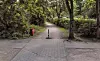 Husarenweg