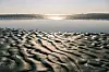 Ein Priel im Wattenmeer