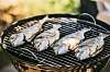 Fisch auf dem Grill