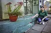 Tiefe Risse ziehen sich durch die Außenwand des Hundehauses.