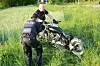 Polizeibeamte richten die Harley-Davidson wieder auf.
