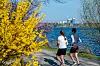 Zwei Frauen joggen bei frühlingshaftem Wetter auf einem Weg an der Außenalster.