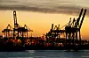Container und Kräne im Hamburger Hafen im Sonnenuntergang (Symbolbild).