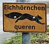 Warnschilder sollen auf die Tierchen aufmerksam machen.