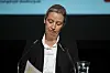 Alice Weidel trennt sich nach dem Rechtsradikalen-Treffen von ihrem Referenten.