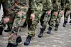 Zahlreiche Reservistinnen und Reservisten marschieren