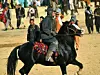 Der „Stern von Wachsch“, eins der populärsten Pferde in Afghanistan, starb an einer Vergiftung.