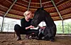 Trainerin Sophie Graf versucht den Tieren in ihrem Pferdezentrum in Dithmarschen mit der Methode der Gewaltfreiheit zu helfen.