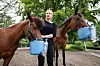 Inhalationsgeräte sollen der Hannoveraner-Stute „Sunshine“ (r.) und dem Island-Pony „Stella“ helfen.
