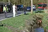 Eines der flüchtigen Rinder fiel in einen Wassergraben.