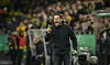 BVB-Trainer Edin Terzic