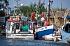 Fischkutter im Fischereihafen Freest an der Ostsee.