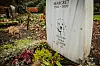 Auf dem Mensch-und-Tier-Friedhof kann man sich mit seinem Haustier begraben lassen.