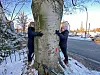 Pärchen umarmt Baum