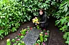 Autorin Heike Goldbach am Grab
