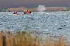 Buckelwal Wismar Poel DLRG Wasser