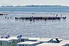 Wattwanderung in Büsum