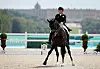 Olympia-Siegerin Isabell Werth reitet auf Pferd Wendy durch einen Parcours