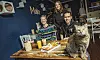 Das Team des „Katers Köök“: Rilana Rentsch (v.l.), Sandra Karolat und Sören Horn – in Katzen-Gesellschaft
