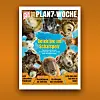 Der Plan7 vom 15. Mai 2026