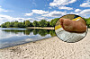Der Junge trat am Eichbaumsee barfuß in einen Haufen Grillkohle und zog sich dabei schwere Verletzungen zu.