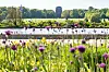 Hamburger Stadtpark im Mai 2026 