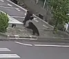 Bär Fukushima