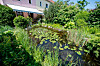Ein Gartenteich mit Seerosen.