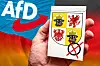 Fotomontage, FFahne der AfD neben einer Hand eines Wählers