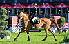 Delani Diekmeier auf ihrem Pferd „Delvaro Deluxe“ beim Spring-Derby in Klein Flottbek