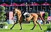 Delani Diekmeier auf ihrem Pferd „Delvaro Deluxe“ beim Spring-Derby in Klein Flottbek