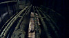 Schweine in einer Metall-Gondel.