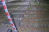 Wolf auf Bahngelände in Bremervörde