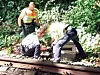 Wildgänse auf Gleisen legen S-Bahnverkehr für rund eine Stunde lahm