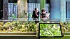 Zwei Frauen in der Ausstellung „Botschaft der Wildtiere“