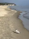 Strand Heringsdorf