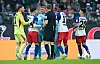 Rudelbildung nach Hoffenheim-Profis Grischa Prömels Einsteigen gegen Nicolai Remberg vom HSV