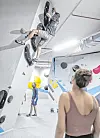 In einer Boulderhalle klettern Leute.