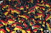 Deutesche Fans beim Spiel der Nationalmannschaft