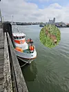 Ein Boot der Seenotrettung und das Reh