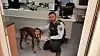 Hund Polizei Wache Jackie