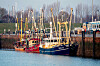 Mehrere Fischkutter liegen im Außenhafen von Hooksiel.