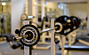 Ein Streit zwischen einem Ex-Paar in einem Fitness-Studio eskalierte. (Symbolfoto)