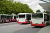 Busse der Hamburger Hochbahn am Zentralen Omnibusbahnhof (ZOB) Wandsbek Markt (Archivbild).