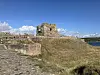 Ruine Kalö