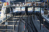 Mehrere Gleise im Hamburger Hauptbahnhof unter dem Hallendach, kaum Zugverkehr sichtbar.