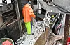 Fischer im orangefarbenen Ölzeug holt im Hafen von Freest Heringe aus dem Stellnetz.