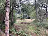 Auf diesem Gelände im Volkspark schlugen zwei Spürhunde an. Offiziell wurde hier bisher noch nicht gegraben.