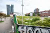 Büsche und Gräser wuchern auf der von einem Bauzaun geschützten Brachfläche am Spielbudenplatz.