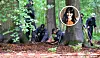 Polizisten knien in einem Wald am Boden, eingefügt ist das Foto eines jungen Mädchens, das vermisst wird